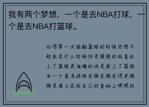 我有两个梦想，一个是去NBA打球，一个是去NBA打篮球。